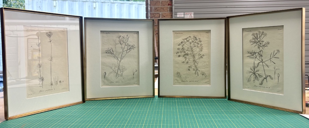 A wall of framed work by Framehouse