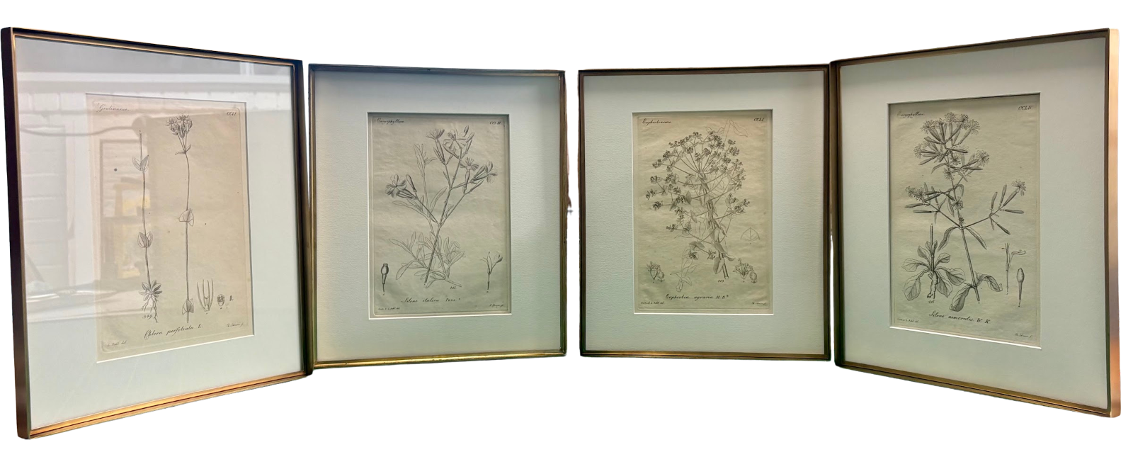 Vintage prints and posters framed — Framehouse Brookfield